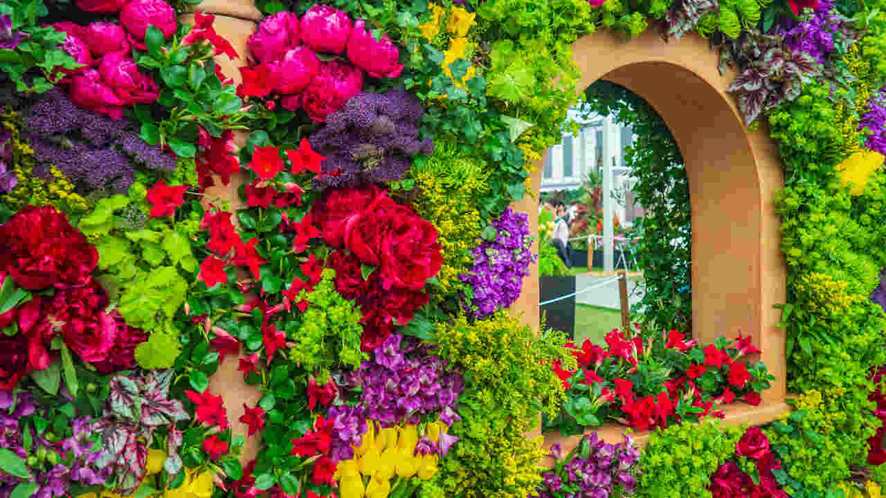 Chelsea Royal Flower Show